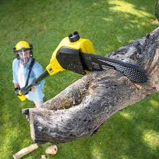 Best Tree Removal  in Chowchilla, CA